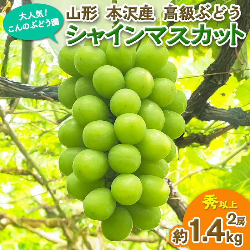【ふるさと納税】大人気！【こんのぶどう園】山形本沢産 高級ぶどう シャインマスカット 2房 【令和8年産先行予約】FS25-720 フルーツ くだもの 果物 山形 山形県 山形市 ぶどう 葡萄 ブドウ セット 2026年産