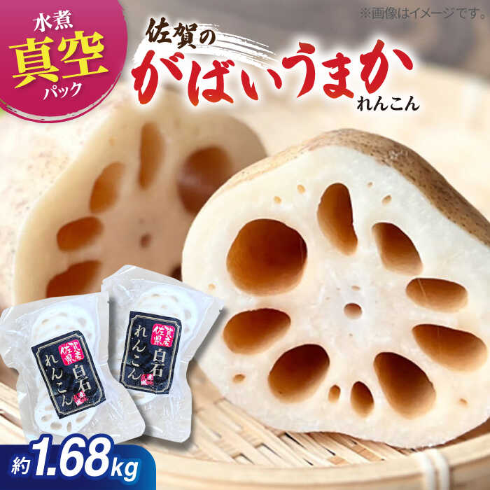 【ふるさと納税】 【お手軽調理！】 水煮れんこん 120g×14袋（カット有り/真空パック）【有限会社白石開発】 蓮根 レンコン 野菜 根菜 小分け 真空 保存 佐賀県 白石町 [IBN003]