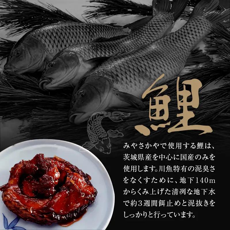 鯉のやわらか煮 140g × 4袋 鯉 煮物 甘煮