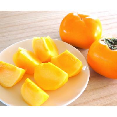 ふるさと納税 那智勝浦町 たねなし柿3Lサイズ-28個箱詰め