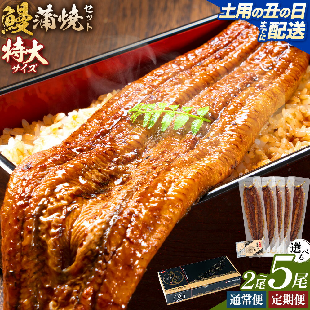 【ふるさと納税】【隔月・定期便】＼特大サイズ／ 鹿児島県産 鰻蒲焼真空セット！ 選べる 2尾 3尾 5尾 定期便 3回 6回 タレ・山椒付！ 株式会社薩摩川内鰻《発送期間をお選びください》鹿児島県 さつま町 送料無料 ウナギ 丑の日 うなぎ 刻み グルメ 特大 鰻 蒲焼 真空