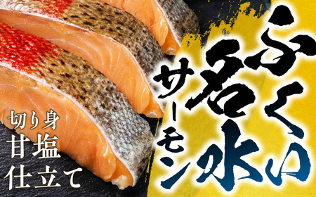 ふくい名水サーモン 切身 2パック 甘塩仕立て サーモン 鮭