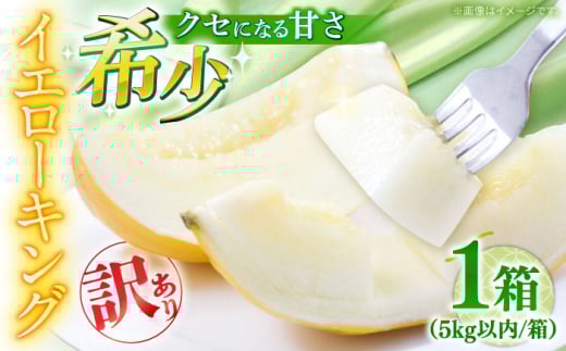 【2026年5月〜発送】訳あり メロン イエローキング 1箱 5kg以内 / メロン めろん フルーツ 果物 / 南島原市 / 南島原果物屋 [SCV042]