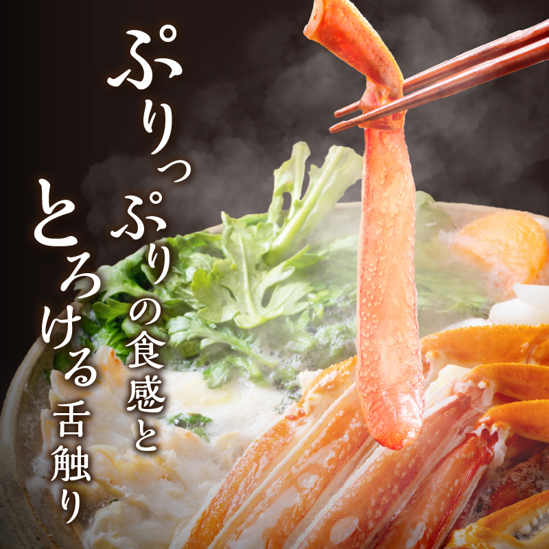 ズワイガニ フルポーション（生食可）約500g【2025年10月以降の発送】【087D-081】