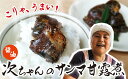 【ふるさと納税】次ちゃんのさんまの甘露煮（醤油）100g×5個セット　TS-2