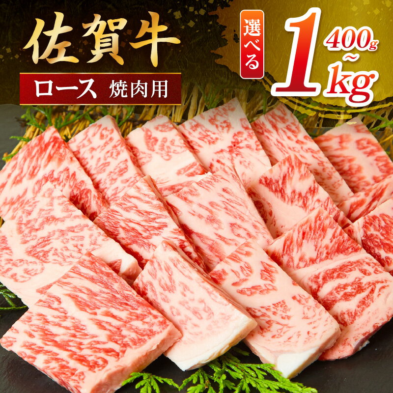 【ふるさと納税】佐賀牛 ロース 焼肉用＜容量が選べる／400g〜1000g＞