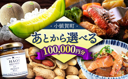 【あとから選べる】町 ふるさとギフト 10万円分 / あとから選べる あとから寄附 あとからギフト 後から選べる 後から あとからセレクト 駆け込み 先に寄附 10万円 100000円 長崎県  [DYZ009]
