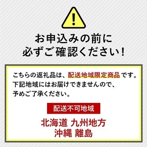 しいたけ 約1kg  椎茸 生しいたけ