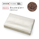 【ふるさと納税】IWATA　キャメルピロ― 高さ2.5cm AA098