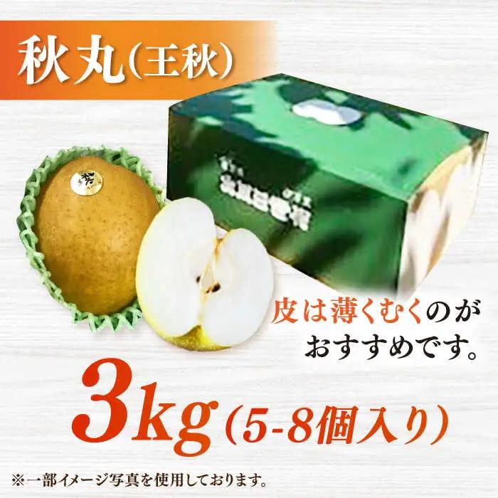 【化粧箱入り】秋丸（王秋）5-8個入（約3kg） / 梨 [41AEAB011]