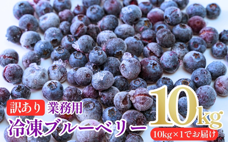 ブルーベリー 訳あり 冷凍 10kg フルーツ ベリー 果物
