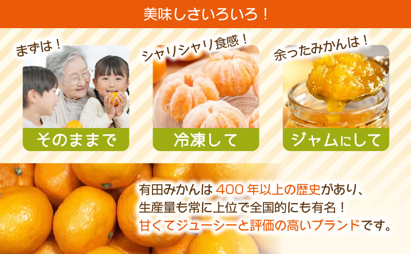 ZJ6097_【2025年先行予約】ご家庭用　和歌山 有田みかん 約5kg (SS、Sサイズ)【湯浅町】