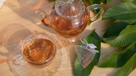 有機グアバ農園の完熟フルーツソースと土佐國グァバ茶のギフトセット(化粧箱入・包装有) 有機JAS認証 お茶 飲料 健康茶 国産 漢方   人気 おすすめ 高知県 南国市】