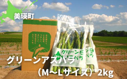 
                  【令和9年産 先行予約】グリーンアスパラ M～Lサイズ 2kg 黒木農場  | グリーン アスパラガス アスパラ あすぱら あすぱらがす 採れたて 新鮮 旬 産地直送 野菜 北海道 美瑛町 北海道産 美瑛産 美瑛 びえい [020-107]
                