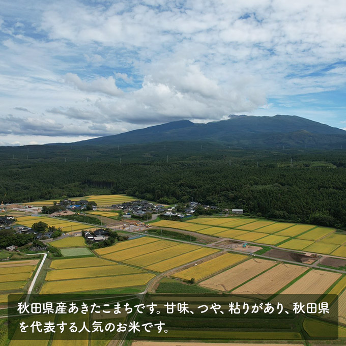 【令和5年産新米予約】【無洗米】<12ヵ月定期便>特別栽培米あきたこまち5kg×12回 計60kg