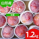 【ふるさと納税】山形市産 すもも(秋姫) 1.2kg(7〜12玉） 【令和7年産先行予約】FU22-026くだもの 果物 フルーツ 山形 山形県 山形市 お取り寄せ 2025年産