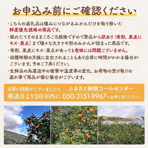 みかん ひとりじめ 箱込 約1kg(内容量約 0.9kg) サイズミックス 和歌山県産 産地直送 家庭用【みかんの会】