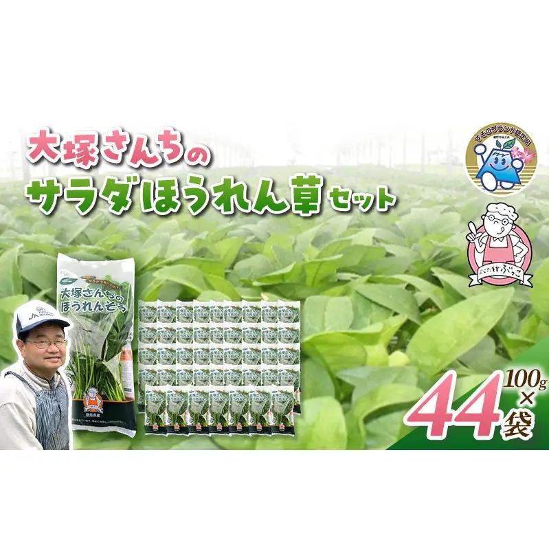 サラダほうれん草 44袋 野菜サラダセット 詰め合わせ ほうれんそう ホウレン草 新鮮 産地直送 大容量 業務用 まとめ買い 野菜セット ギフト 詰合せ 常備野菜