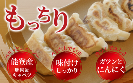 奥能登 穴水産 「能登まいもん餃子」 40個（10個入 × 4パック）| ギョーザ 小分け