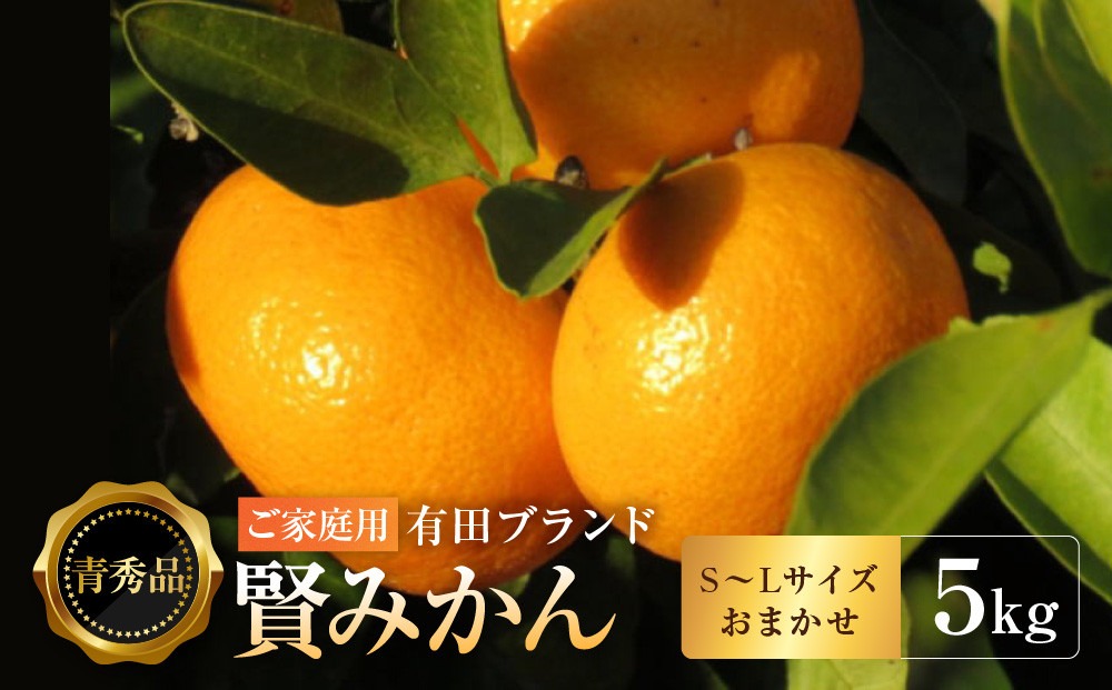 有田のブランド「賢みかん」5kg(S～Lサイズおまかせ）ご家庭用［2026年11月中旬頃より順次発送］ BZ017