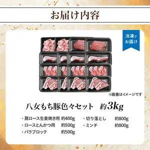 八女もち豚色々セット 計約3キロ 072-209