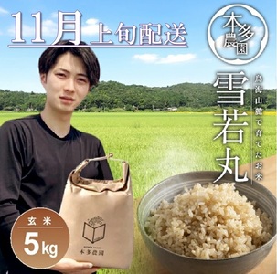 SB0730　11月上旬配送／令和7年産【玄米】雪若丸　5kg 農家直送 HO