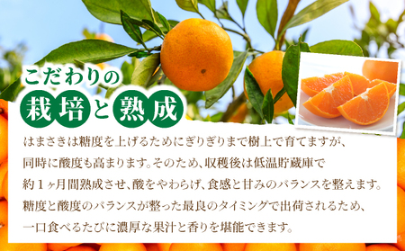 はまさき 約2.5kg 化粧箱入り