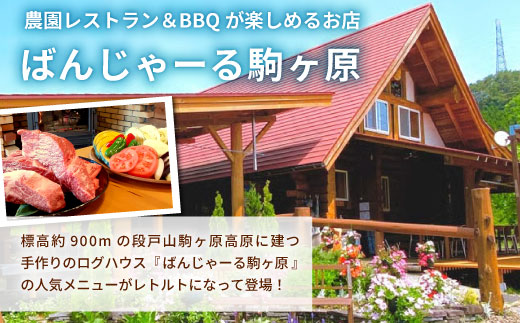 お肉ごろごろ 農園レストランで大人気 段戸山牛のビーフシチュー 2人前 惣菜 レトルト ビーフシチュー 牛肉 肉 シチュー 手作り 食品 おかず 惣菜 牛 農園 -216
