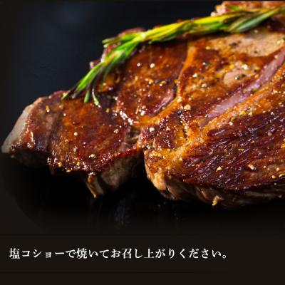 ふるさと納税 千歳市 特製ラム ティーボーン ステーキ 10枚(約850g)＜肉の山本＞ |  | 01