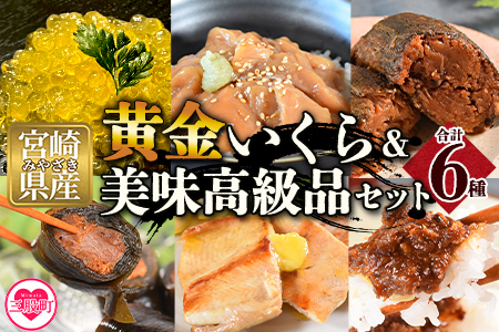 【先行予約】＜黄金イクラと美味高級品セット＞(6種)黄金イクラやヤマメなどを詰め合せ！【B-0205-sk】【有限会社しゃくなげの森】