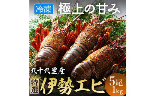伊勢海老 活け〆リキッド冷凍 刺身用 5尾 約1kg 九十九里 新鮮 伊勢 海老 刺し身 刺身 さしみ 真空 冷凍  旨味 甘み 鮮度 美味しい 贅沢 ご褒美 豪華 ギフト プレゼント 贈答  贈答用 記念日 家族 友人 パーティー 食事会 お祝い 祝い 送料無料 ふるさと納税 不動丸 千葉県 旭市 fdm028