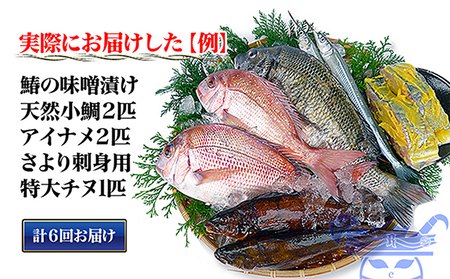 ［頒布会6回］瀬戸内海産の海産物の詰め合わせ（下処理ナシ）