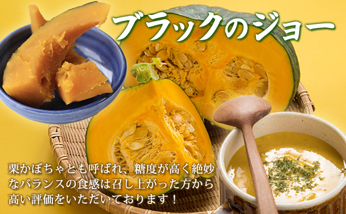 【2024年9月下旬より発送】北海道 富良野市産 かぼちゃ「ブラックのジョー」 10kg (中山農園) 野菜 新鮮 直送 いも 道産 ふらの 送料無料 数量限定 先着順 北海道 富良野市 ほくほく