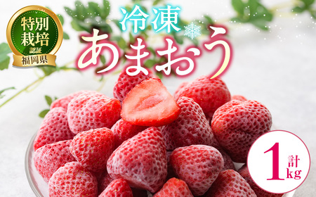 冷凍あまおう (計1kg) いちご イチゴ 苺 あまおう 冷凍いちご 冷凍イチゴ 国産 福岡県 特別栽培 果物 フルーツ アイス ジャム 冷凍フルーツ ＜離島配送不可＞【ksg1785】【うるう農園】