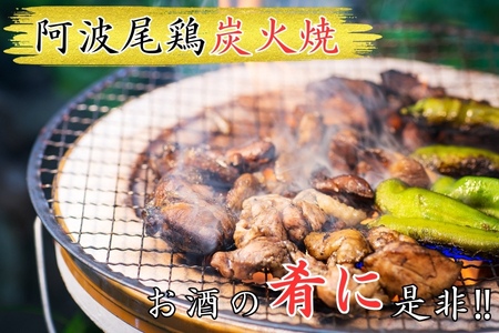 阿波尾鶏炭火焼（100ｇ×6袋）