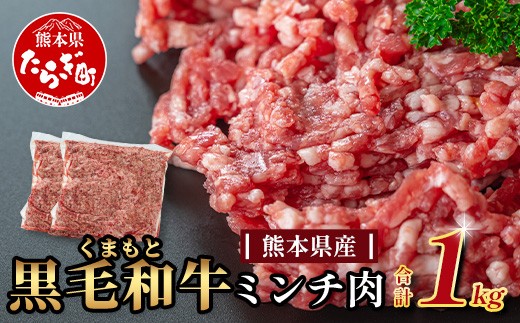 
            【大容量】熊本県産 黒毛和牛 ミンチ1kg (500g×2)  本場 熊本県 黒毛 和牛 国産 牛肉 ミンチ肉 挽肉 ひき肉挽き肉 ブランド 牛 肉 上質 ハンバーグ 7000円 113-0545
          