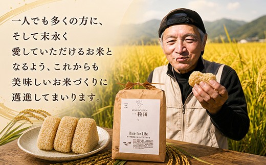 おいしいお米を作ることはもちろん、自然や生き物との調和を大切にしながら、
一つひとつ丁寧に育てています。