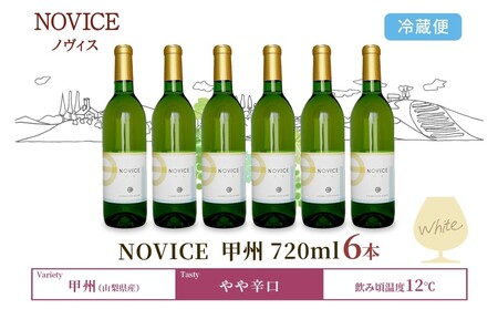 白ワイン NOVICEノヴィス 甲州 720ml×6本 フルボトル 日川中央葡萄酒 山梨県 笛吹市 177-7-30