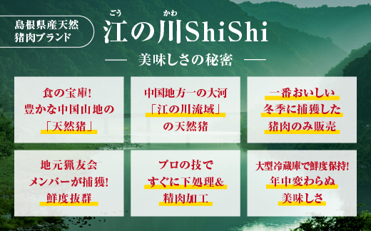 天然猪 江の川shishi 猪モモスライス 鍋用 500g （ 2～3人前 ） AI-5