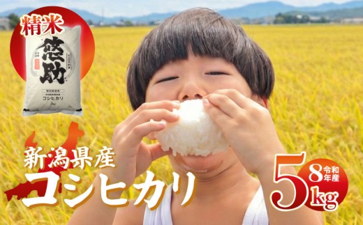 先行予約 令和8年産 コシヒカリ 5kg 特別栽培米 単品 コンテスト 入賞 【 コンテスト 入賞米 米 おこめ お米 ブランド米 ご飯 ごはん オニギリ お弁当 kome 送料無料 数量限定 農家直送 産地直送 国産 川瀬農園 四代目 悠助 新潟 新発田 kwsKH002_202609  】　
