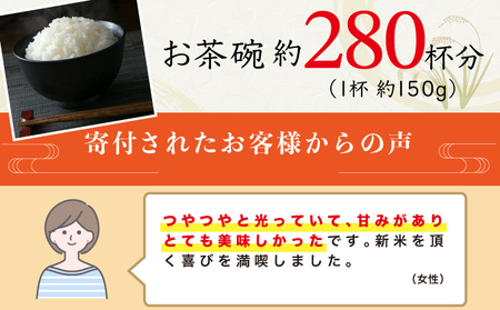 ＜2025年11月発送＞令和7年産コシヒカリ 20kg【S248】