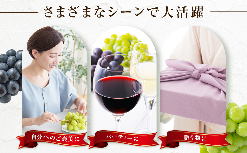 金オ岡村青果株式会社　長野市産 ナガノパープル1kg【2026年8月末以降出荷分】果物 くだもの フルーツ デザート 種無し 大粒 旬 |  ぶどう フルーツ 果物 人気 おすすめ ギフト プレゼント