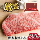 【ふるさと納税】【溢れる肉汁と濃厚な旨味】博多和牛 サーロイン ステーキ セット 500g(250g×2枚)《築上町》【株式会社MEAT PLUS】 #BBQ [ABBP013] 20000円 2万円