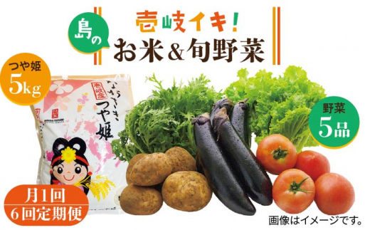 【全6回定期便】壱岐産米つや姫5kg・旬の野菜5品《壱岐市》【壱岐市農業協同組合】 [JBO048] 野菜 食材 夏野菜 セット 野菜セット スムージー 米 お米 つや姫 ご飯 旬 鮮度 新鮮 定期便 78000 78000円