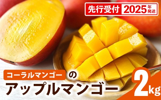 【先行受付】【2025年発送】コーラルマンゴーのアップルマンゴー [優品] 約2kg - 先行予約 沖縄マンゴー 産地直送 国産 旬の味覚 季節の果物 贈り物 ギフト 沖縄県 八重瀬町