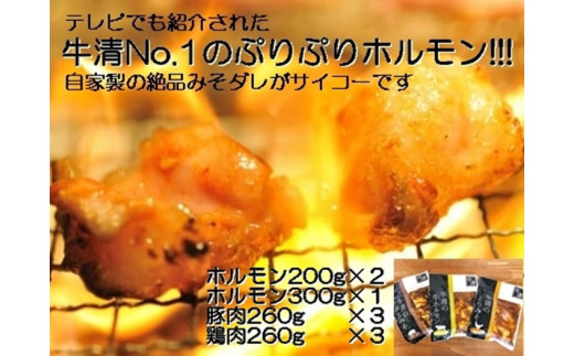 【027-04】自家製 みそダレ Oセット 牛ホルモン 200ｇ×２ 300ｇ×１ 豚肉 ×３ 鶏肉 ×３/ 黒毛和牛ホルモン 牛清 バーベキュー BBQ キャンプ 牛肉 ぶた肉 とり肉 特製 味噌漬 味付 伊勢志摩 27000 2万7千円 二万七千円