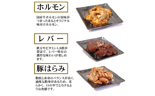 【飛騨牛】焼肉4種B-2セット　赤身肉と味付けホルモンなど　合計1kg【配送不可地域：離島】