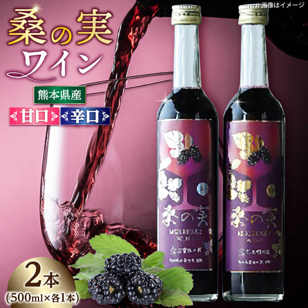 【ふるさと納税】桑の実 ワイン （甘口・辛口） 500ml×2本【株式会社 峯樹木園】 合志市 熊本県 熟成ワイン ワイン わいん 酒 お酒 洋酒 果実酒 辛口 甘口 桑の実 マルベリー お祝い 贈り物 飲み比べ セット [AYBM006]
