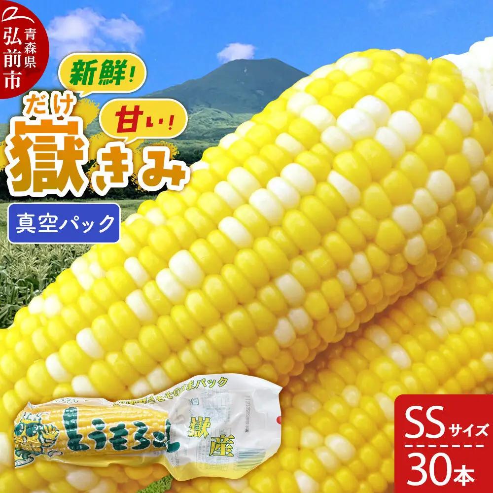 【26年10月中旬～発送】とうもろこし 嶽きみ真空パック SSサイズ 30本 しらかみラボ