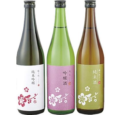 ふるさと納税 佐世保市 【毎月定期便】ちょっと贅沢　佐世保の地酒3本飲みくらべ【梅ヶ枝酒造】全3回